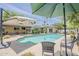Beautiful backyard pool with ample seating, lush landscaping, and patio dining space at 402 E Claremont St, Phoenix, AZ 85012