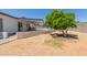 Spacious backyard with patio, lush trees, and charming architectural details at 701 N 55Th Pl, Mesa, AZ 85205