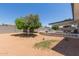 Expansive backyard featuring a covered patio, mature trees, and a concrete block perimeter wall offering privacy at 701 N 55Th Pl, Mesa, AZ 85205