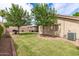 Lush backyard with mature trees, a covered patio, green lawn, and a barbecue grill at 1114 N Leland Ct, Gilbert, AZ 85233