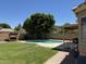 Beautiful backyard with a sparkling pool, covered patio, and grassy area, perfect for outdoor living at 113 N Albert Dr, Chandler, AZ 85226
