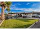 Expansive backyard with a pool, patio seating, lush green lawn, and mature palm trees at 12866 W Orange Dr, Litchfield Park, AZ 85340