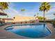 Backyard pool surrounded by mature landscaping and palm trees at 12866 W Orange Dr, Litchfield Park, AZ 85340