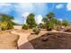 Expansive backyard featuring well-maintained landscaping and a stone sitting area at 4038 E Wrangler Ct, Gilbert, AZ 85297