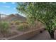 Backyard featuring desert landscaping, mature trees, wrought iron fence, and mountain views at 4562 S Alamos Way, Gold Canyon, AZ 85118