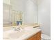 Bright bathroom features a modern vanity and a glass-enclosed shower at 521 N Cambridge St, Gilbert, AZ 85233