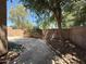 Spacious backyard featuring a concrete patio, mature trees, and a well-maintained brick perimeter wall at 1020 W Sunward Dr, Gilbert, AZ 85233