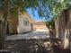 Backyard with a concrete patio surrounded by a block fence and landscaping with desert plants and trees at 1020 W Sunward Dr, Gilbert, AZ 85233