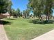 Well-maintained HOA green space with lush green grass and mature shade trees creating a park-like setting at 1020 W Sunward Dr, Gilbert, AZ 85233