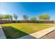 Spacious backyard with lush green lawn, mature trees, and a well-maintained landscape, offering ample room at 12110 W Rowel Rd, Peoria, AZ 85383