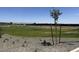 Large community park featuring a green space and young trees for residents at 15515 W Deanne Dr, Waddell, AZ 85355
