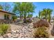 Home featuring desert landscaping with cacti, palm trees, a rock bed, and unique desert plants at 28 E Winged Foot Rd, Phoenix, AZ 85022