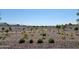 Community area with gravel, walking paths and young trees set against a backdrop of houses at 3529 E Audrey Dr, San Tan Valley, AZ 85143