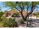 Charming single-story home featuring xeriscaped front yard with mature desert landscaping and a covered entryway at 41598 N Ranch Dr, San Tan Valley, AZ 85140
