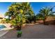 Backyard with gravel and multiple palm trees at 41847 W Sparks Ct, Maricopa, AZ 85138