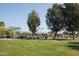 Scenic tennis courts surrounded by lush greenery and mature trees create an inviting atmosphere for players of all skill levels at 6811 S Four Peaks Way, Chandler, AZ 85249