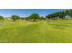 Expansive green park with mature trees and picnic tables, offering a serene and recreational space for residents at 9004 S Ash Ave, Tempe, AZ 85284