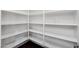 Walk-in pantry features clean, white shelving, providing ample storage space at 970 S Henry Ln, Gilbert, AZ 85296