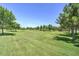 Expansive community park showcasing a vast grassy area dotted with mature trees at 970 S Henry Ln, Gilbert, AZ 85296