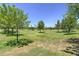 Lush community park featuring beautiful green space and mature shade trees at 970 S Henry Ln, Gilbert, AZ 85296