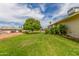 Green backyard with large tree, patio area, and well-maintained lawn at 10724 W Cheryl Dr, Sun City, AZ 85351