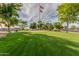 Well-manicured common area with lush green grass and mature shade trees featuring the US and Arizona State flags at 10724 W Cheryl Dr, Sun City, AZ 85351