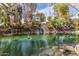 Tranquil view of a pond with a fountain, surrounded by trees, rocks, and lush vegetation at 10724 W Cheryl Dr, Sun City, AZ 85351