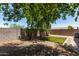 Large backyard features a gravel area with a turf pad, and a block fence for privacy at 11538 W Windrose Ave, El Mirage, AZ 85335
