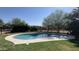 Backyard pool surrounded by lush green grass and mature trees for a private oasis at 12423 N 64Th St, Scottsdale, AZ 85254