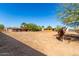 Expansive yard with horse and mature trees, offering a serene and spacious outdoor setting at 12423 N 64Th St, Scottsdale, AZ 85254