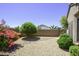 Private backyard featuring desert landscaping, gravel ground cover, and a mature tree at 19607 N Flint Way, Surprise, AZ 85374