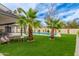 A backyard featuring a lush green lawn, mature palm trees, and a sparkling pool against a blue sky with wispy clouds at 2033 E Janice Way, Phoenix, AZ 85022