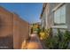 Illuminated side yard with brick walkway and block wall for privacy at 20797 W Rattler Rd, Buckeye, AZ 85396