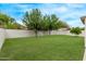 Spacious backyard with lush green grass and well-placed trees at 2438 W Via Dona Rd, Phoenix, AZ 85085