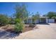 Charming single-story home featuring a well-maintained front yard and a long driveway at 3841 N 21St Ave, Phoenix, AZ 85015