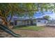 Spacious backyard featuring patio seating, a lush tree, and a trampoline at 4162 W Sierra St, Phoenix, AZ 85029