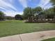 View of the neighborhood from a grassy common area with mature trees lining the street and sidewalks at 5029 S Carlyle Dr, Gilbert, AZ 85298