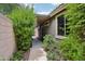 Private walkway showcasing lush landscaping and charming exterior architecture at 5029 S Carlyle Dr, Gilbert, AZ 85298