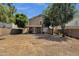 Spacious backyard featuring a covered patio, mature trees, and plenty of potential at 508 W San Angelo St, Gilbert, AZ 85233