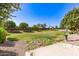 Well-maintained common area with lush green grass, walking paths, and mature trees at 913 W Yosemite Dr, Chandler, AZ 85248