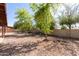 Backyard featuring gravel, rock border and shade trees next to a brick wall at 10032 N 50Th Dr, Glendale, AZ 85302
