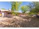 Large backyard featuring multiple shade trees, gravel, covered patio and block fence at 10032 N 50Th Dr, Glendale, AZ 85302