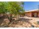 Spacious backyard featuring multiple shade trees, gravel, covered patio, and block fence at 10032 N 50Th Dr, Glendale, AZ 85302