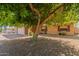 Charming single-story brick home with a two-car garage, long driveway, and mature shade trees at 10032 N 50Th Dr, Glendale, AZ 85302