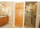 Bright bathroom featuring storage, a vanity, and a shower at 1210 W Betty Elyse Ln, Phoenix, AZ 85023
