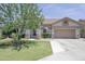 Inviting single-story home featuring a well-maintained lawn and mature trees at 1210 W Betty Elyse Ln, Phoenix, AZ 85023