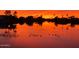 Scenic waterfront view at sunset featuring a peaceful lake with ducks and silhouetted palm trees at 1241 W Lobster Trap Dr, Gilbert, AZ 85233