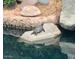 A turtle suns itself on a rock amidst calm water, serene backdrop, embodying peaceful community at 1241 W Lobster Trap Dr, Gilbert, AZ 85233