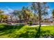 A well-maintained park area featuring mature trees, green grass, and seating areas for residents to enjoy at 1442 W Laurel Ave, Gilbert, AZ 85233