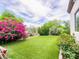 Lush backyard featuring artificial turf, vibrant bougainvillea, and picturesque landscaping for outdoor enjoyment at 20439 E Palomino Dr, Queen Creek, AZ 85142